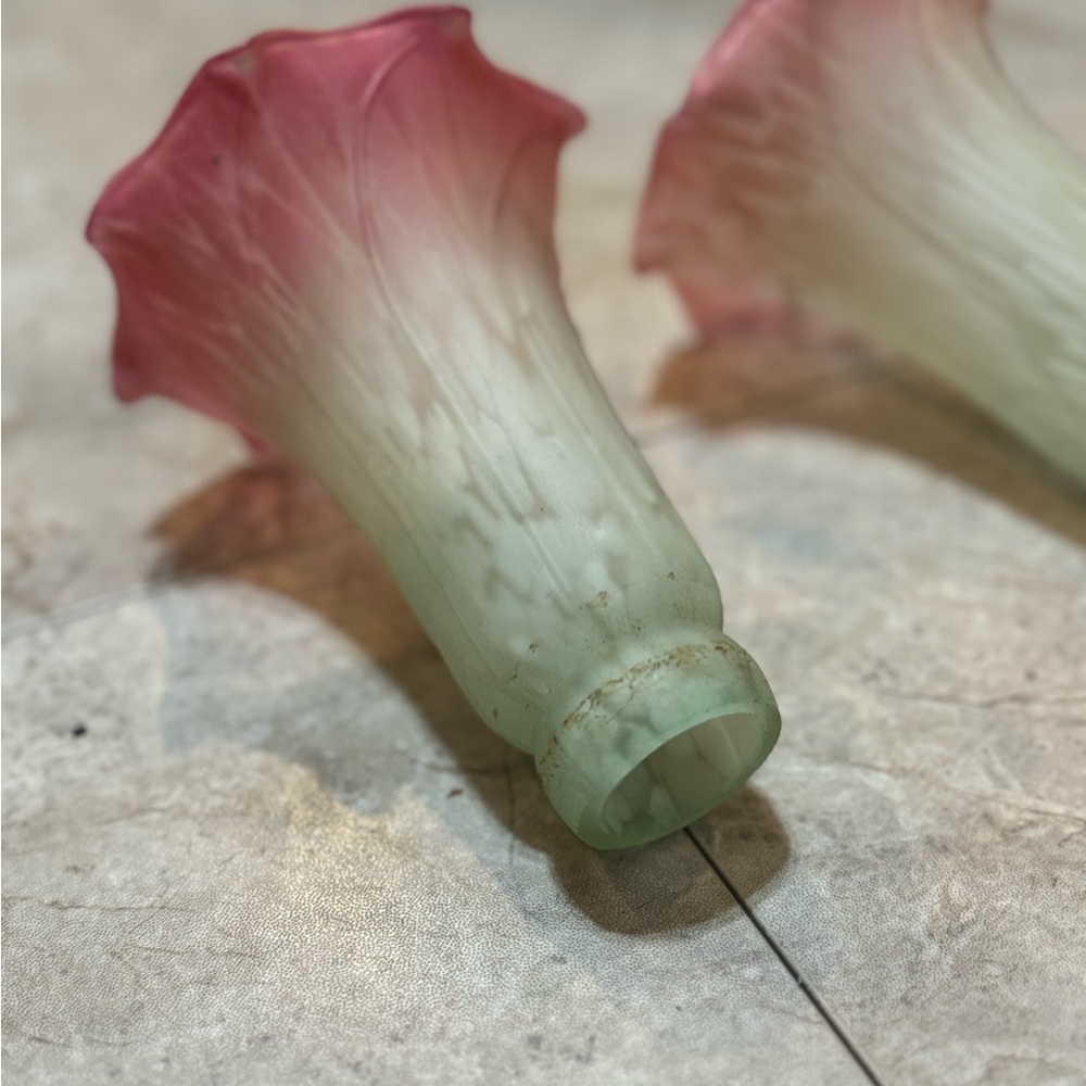 Lily lamp glass lamp shade. Set of 2.